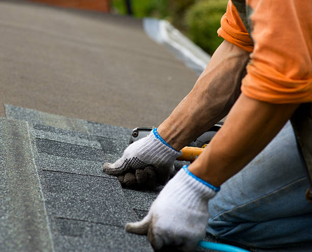 Professional Roofing Contractor in Gardnerville Ranchos, NV