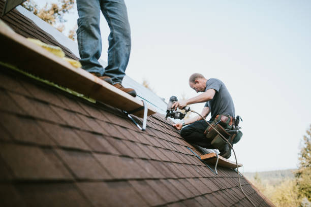 Quick and Trustworthy Emergency Roof Repair Services in Gardnerville Ranchos, NV